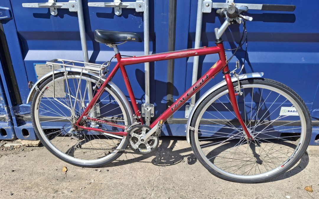 Raleigh pioneer hybrid