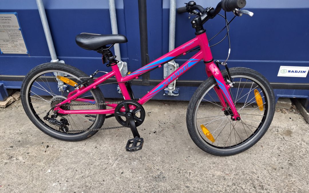 specialized hotrock 20 (refurbished)